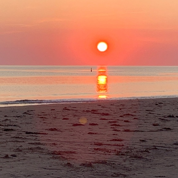 Meet your Posher, Kelsey - Picture 1 of 1